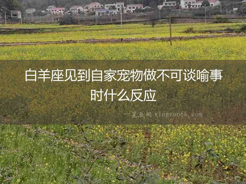 白羊座見到自家寵物做不可談喻事時什么反應