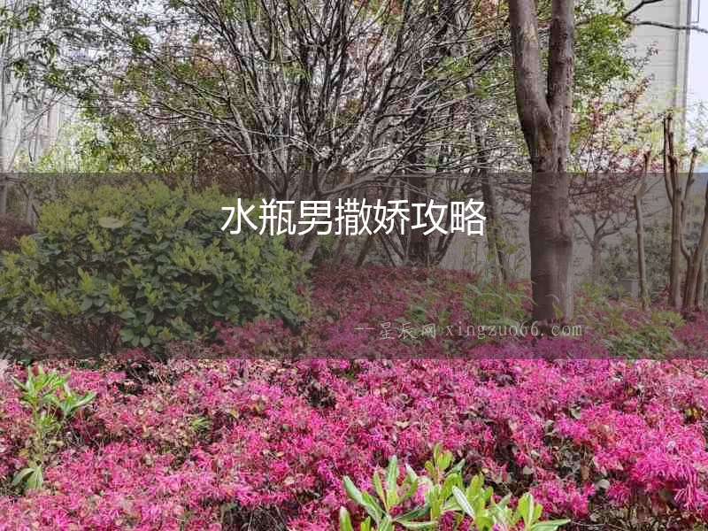 水瓶男撒嬌攻略
