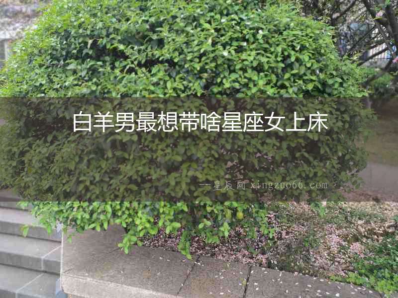 白羊男最想帶啥星座女上床