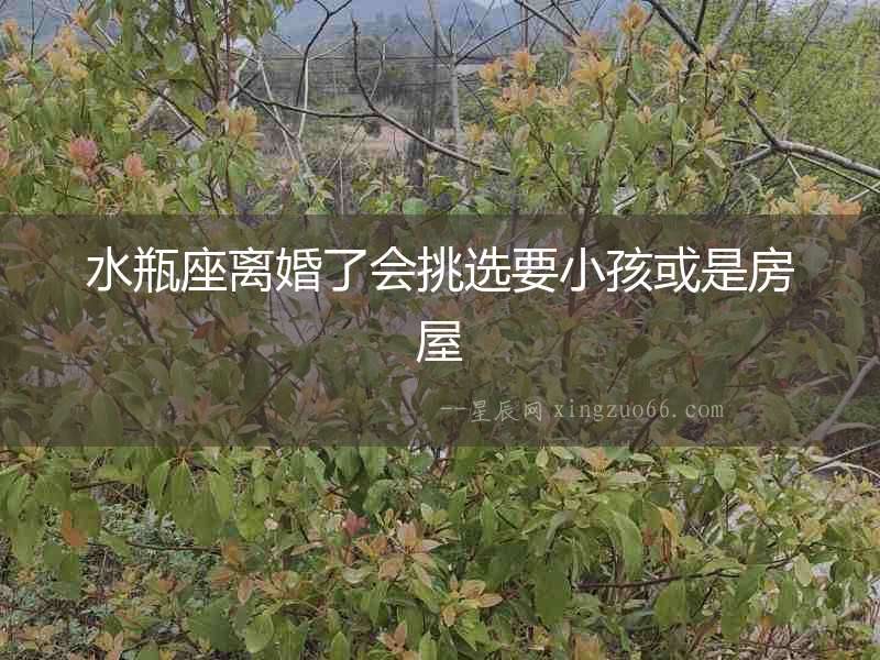 水瓶座離婚了會挑選要小孩或是房屋