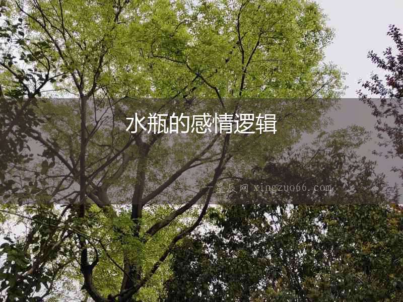 水瓶的感情邏輯