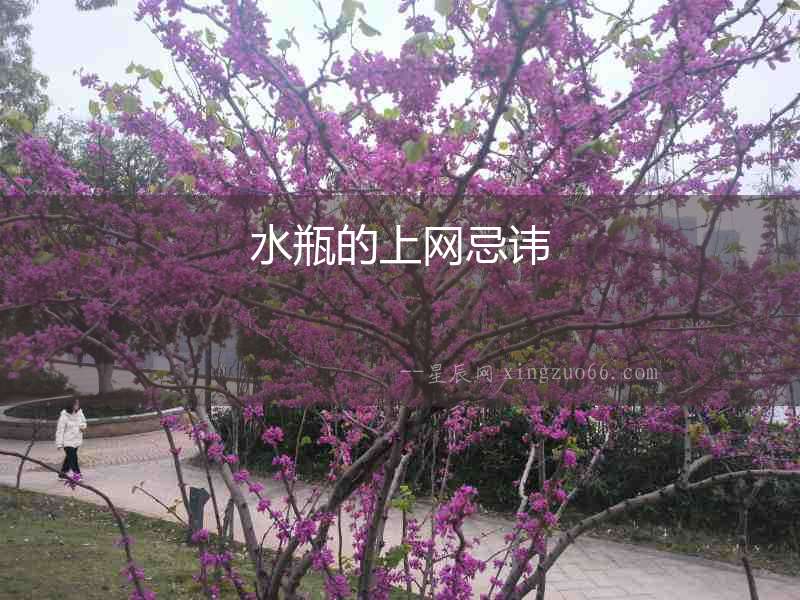 水瓶的上網忌諱
