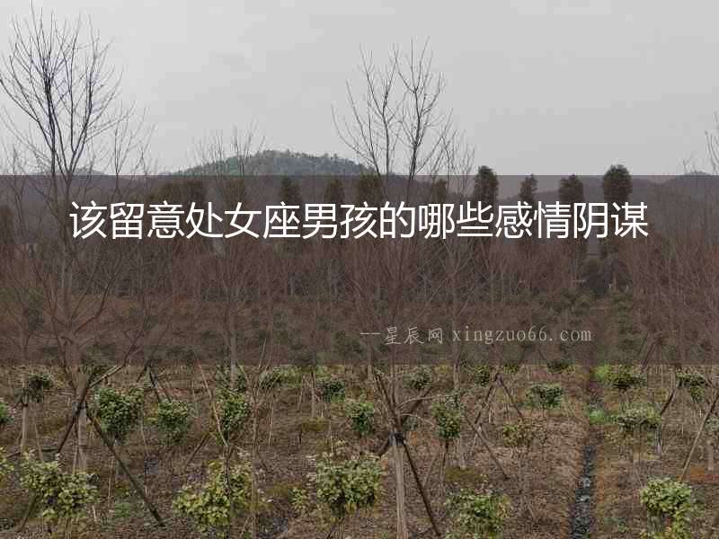 該留意處女座男孩的哪些感情陰謀