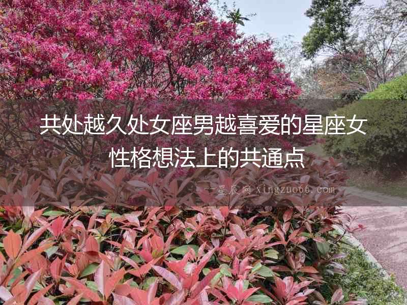 共處越久處女座男越喜愛的星座女 性格想法上的共通點(diǎn)