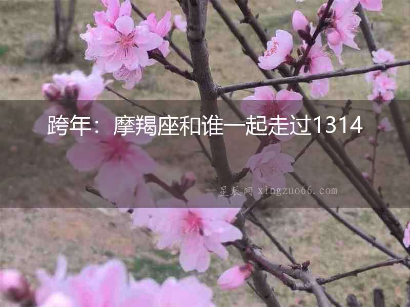 跨年：摩羯座和誰一起走過1314