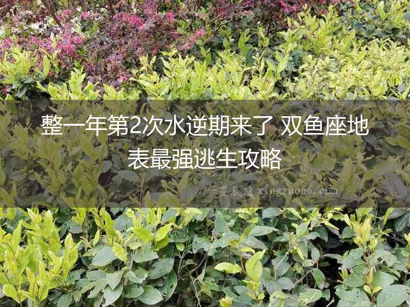 整一年第2次水逆期來了 雙魚座地表最強逃生攻略