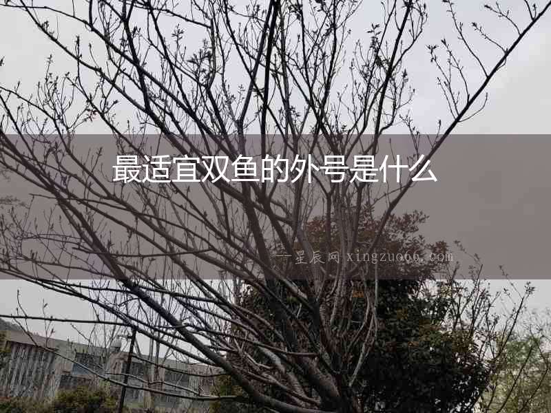 最適宜雙魚的外號是什么