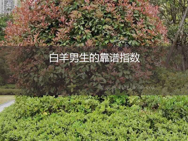 白羊男生的靠譜指數