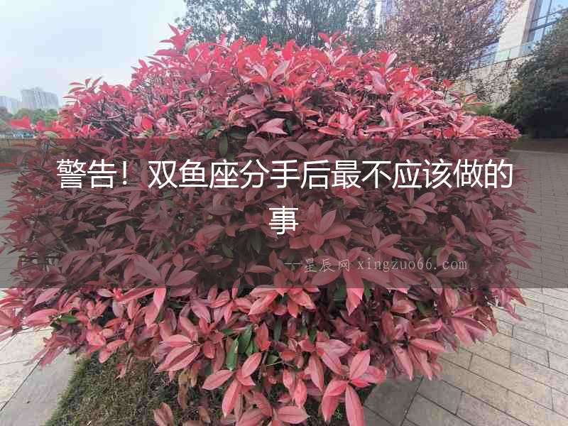 警告！雙魚座分手后最不應該做的事