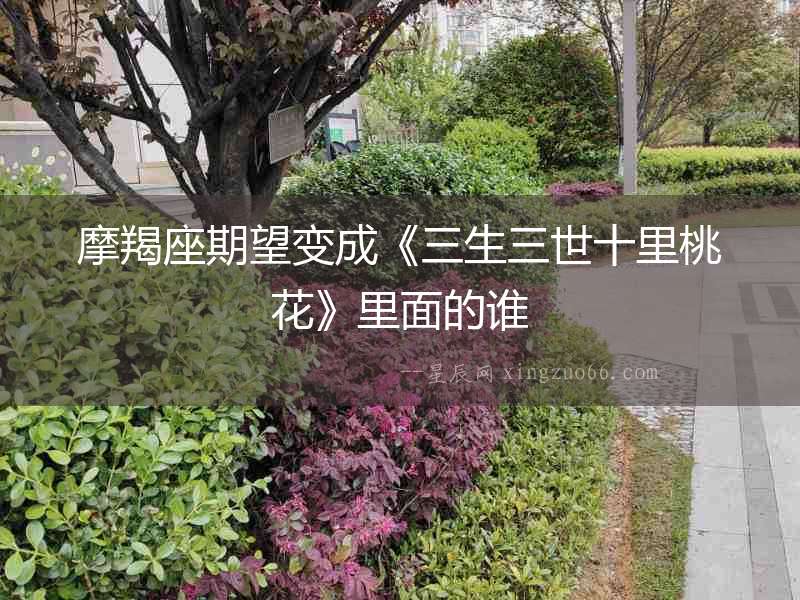 摩羯座期望變成《三生三世十里桃花》里面的誰