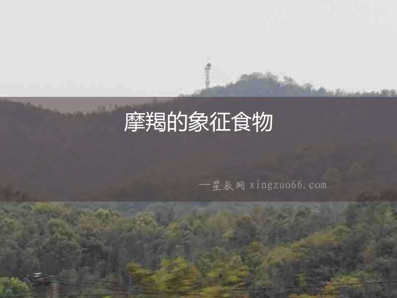 摩羯的象征食物