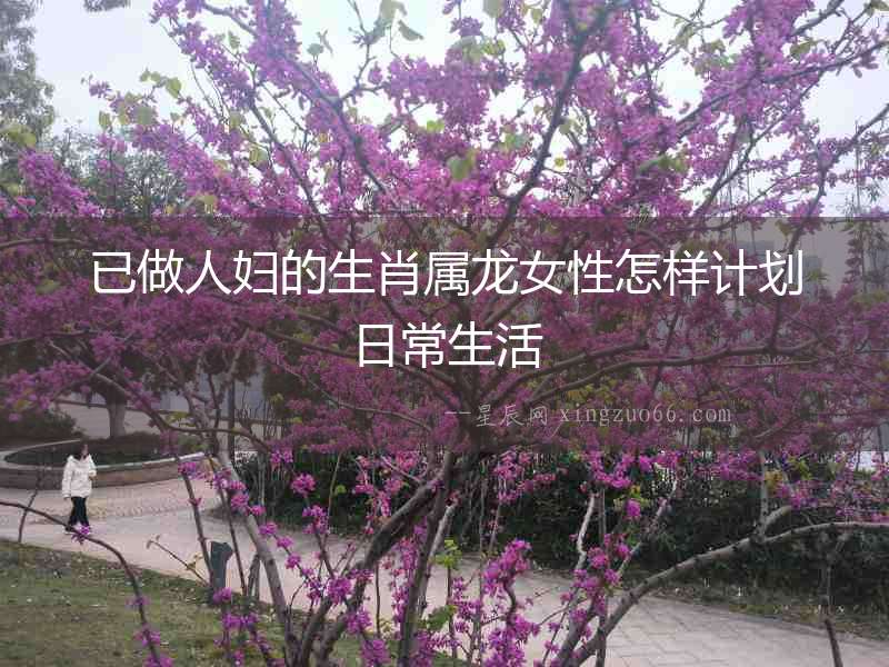 已做人婦的生肖屬龍女性怎樣計(jì)劃日常生活