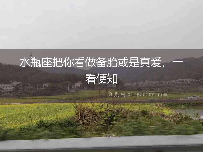 水瓶座把你看做備胎或是真愛，一看便知