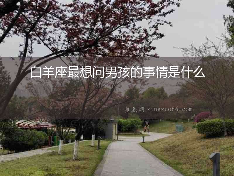 白羊座最想問男孩的事情是什么