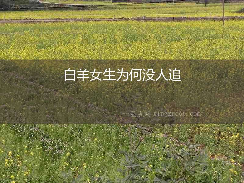 白羊女生為何沒人追