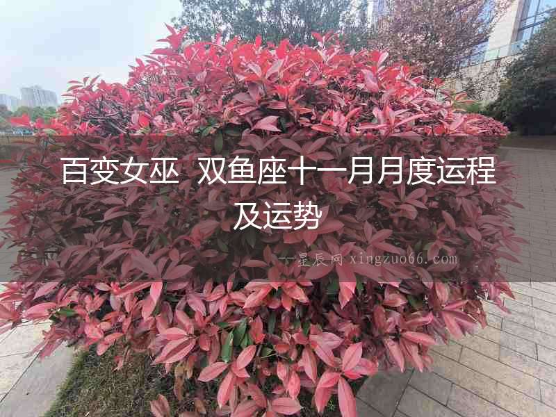百變女巫  雙魚(yú)座十一月月度運(yùn)程及運(yùn)勢(shì)