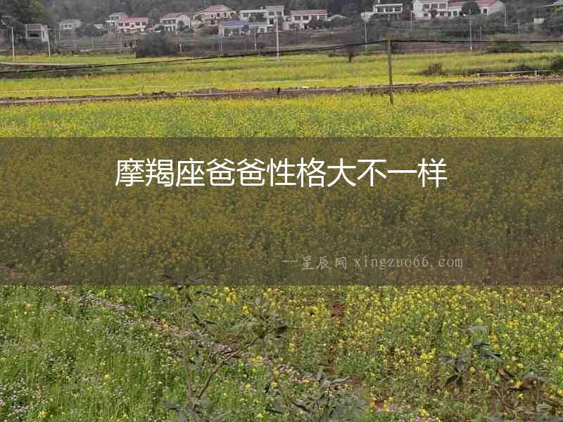 摩羯座爸爸性格大不一樣