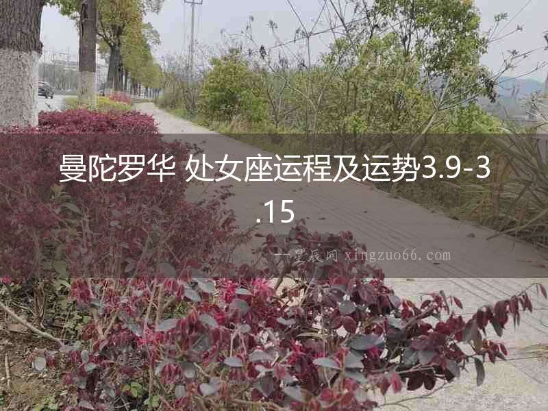 曼陀羅華 處女座運程及運勢3.9-3.15