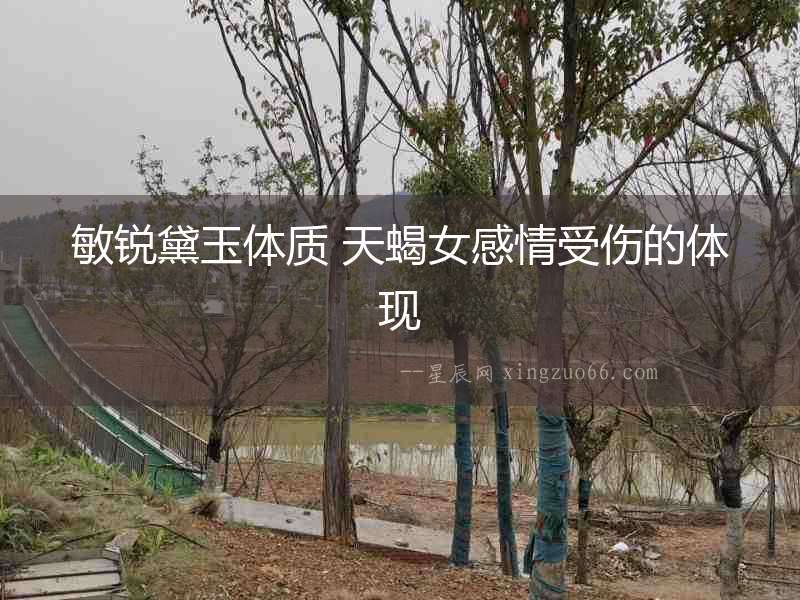 敏銳黛玉體質(zhì) 天蝎女感情受傷的體現(xiàn)