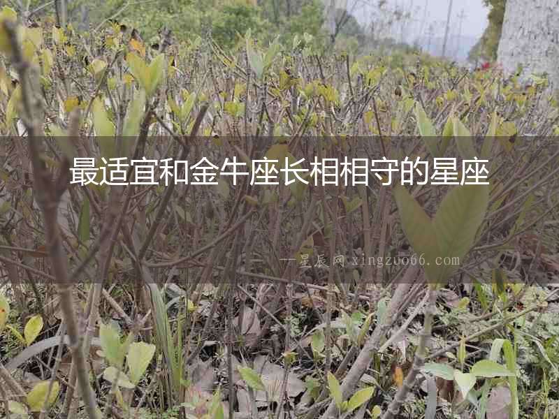 最適宜和金牛座長(zhǎng)相相守的星座