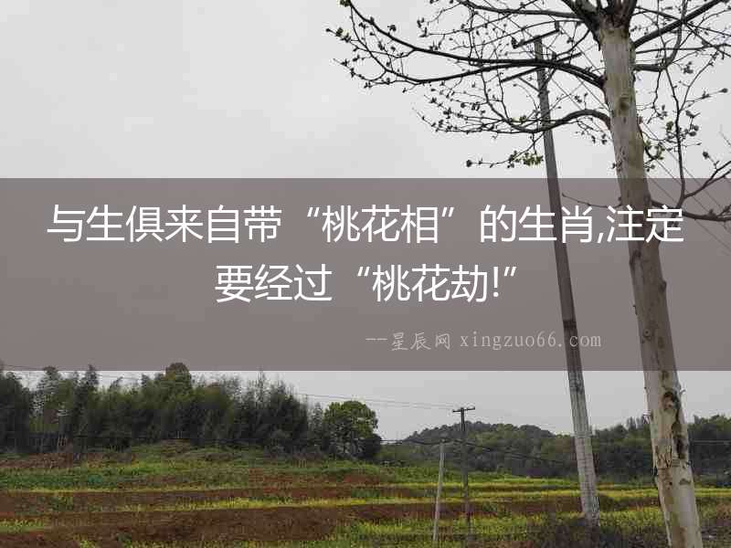 與生俱來自帶“桃花相”的生肖,注定要經(jīng)過“桃花劫!”
