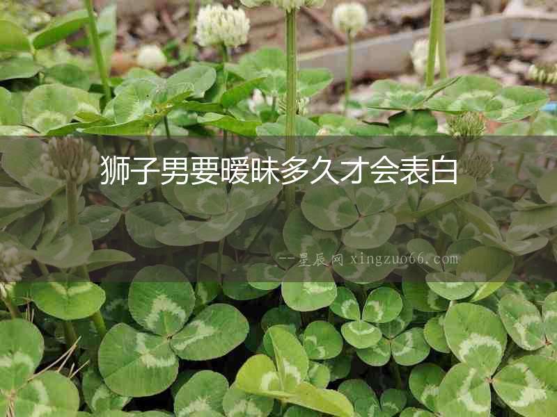 獅子男要曖昧多久才會表白