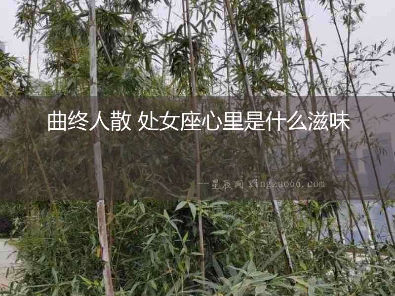 曲終人散 處女座心里是什么滋味