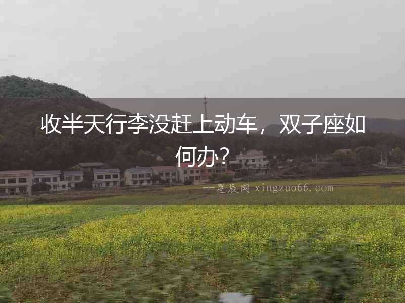 收半天行李沒趕上動車，雙子座如何辦？
