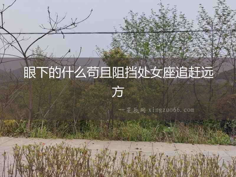 眼下的什么茍且阻擋處女座追趕遠方