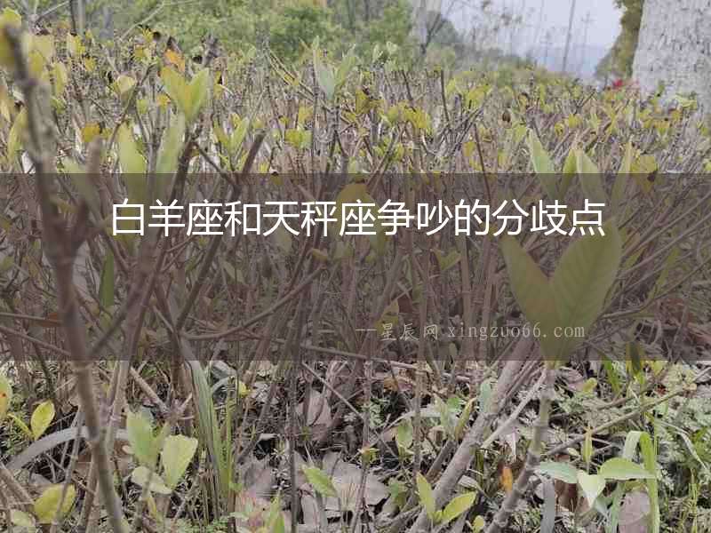 白羊座和天秤座爭吵的分歧點