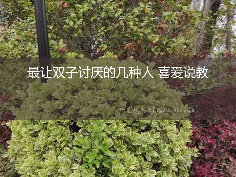 最讓雙子討厭的幾種人 喜愛說教