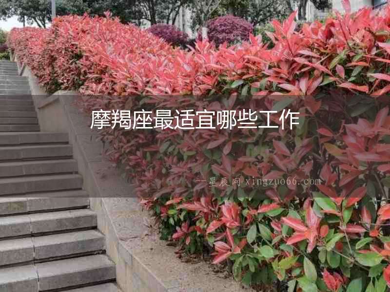 摩羯座最適宜哪些工作