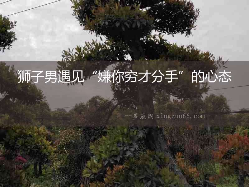 獅子男遇見“嫌你窮才分手”的心態(tài)
