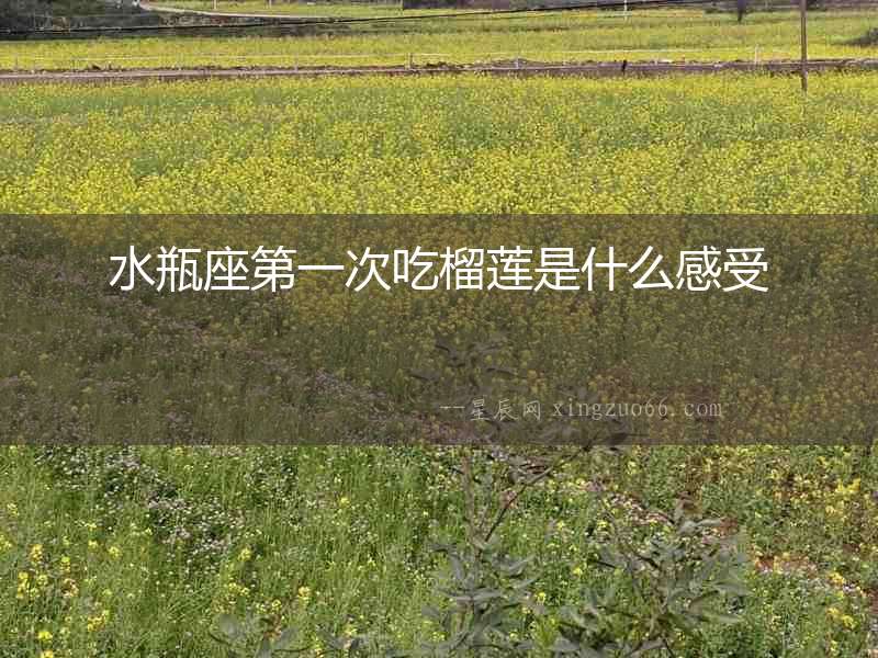 水瓶座第一次吃榴蓮是什么感受