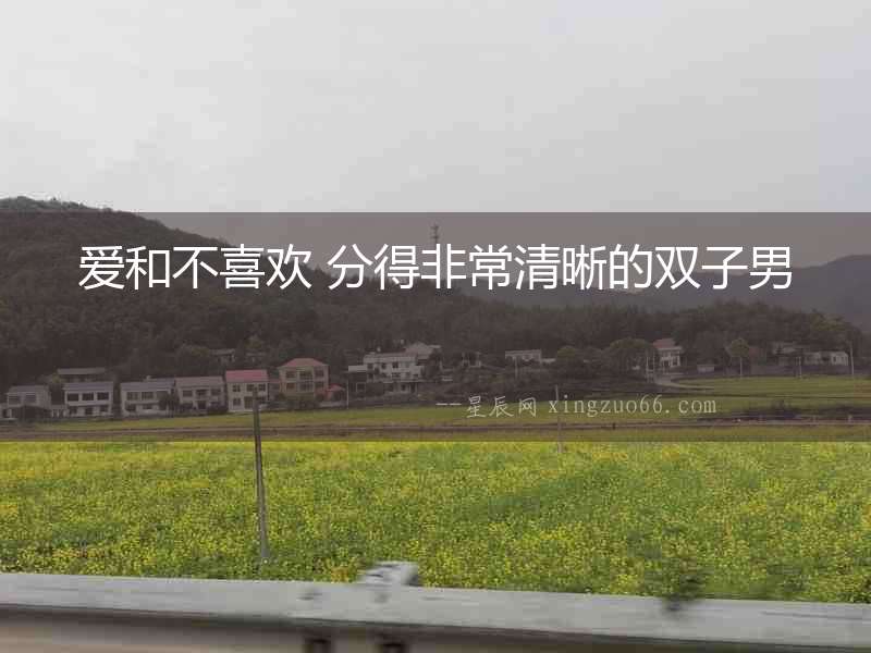 愛和不喜歡 分得非常清晰的雙子男