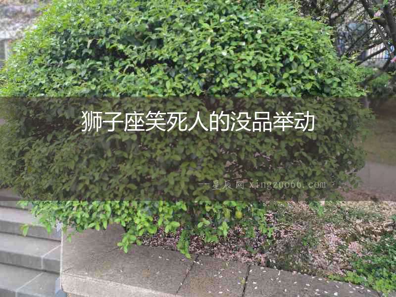 獅子座笑死人的沒品舉動