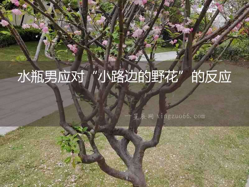水瓶男應對“小路邊的野花”的反應