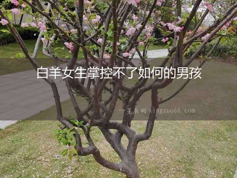 白羊女生掌控不了如何的男孩