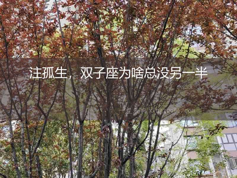 注孤生，雙子座為啥總沒另一半
