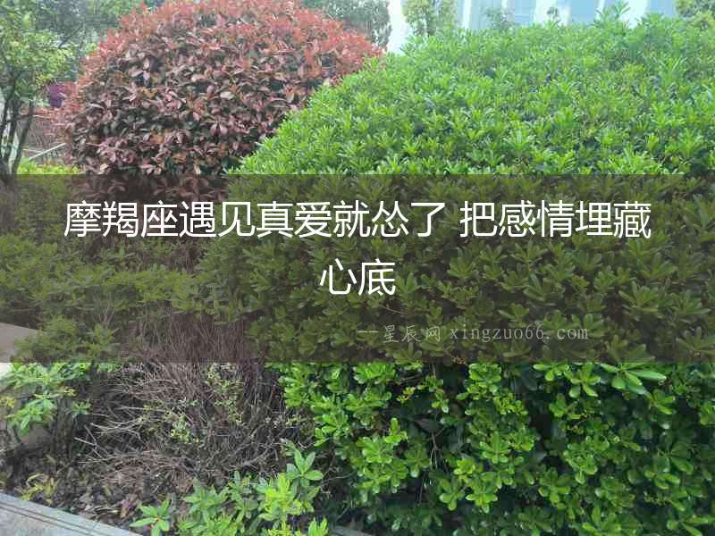 摩羯座遇見真愛就慫了 把感情埋藏心底
