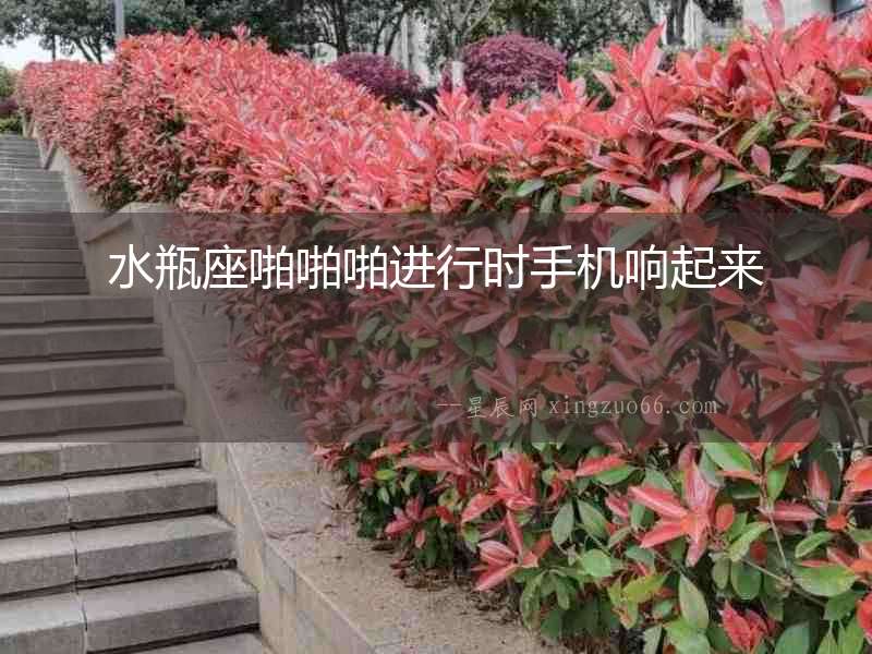 水瓶座啪啪啪進(jìn)行時(shí)手機(jī)響起來