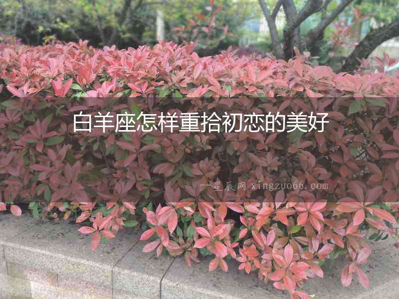 白羊座怎樣重拾初戀的美好