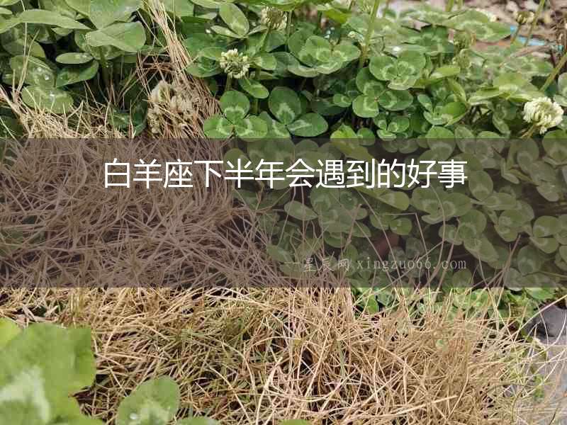 白羊座下半年會遇到的好事