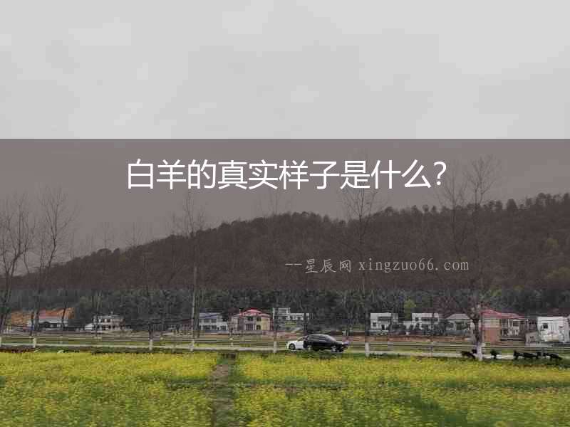 白羊的真實樣子是什么？
