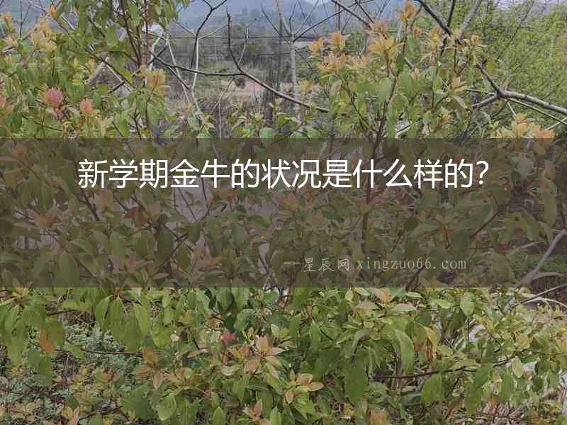新學期金牛的狀況是什么樣的？