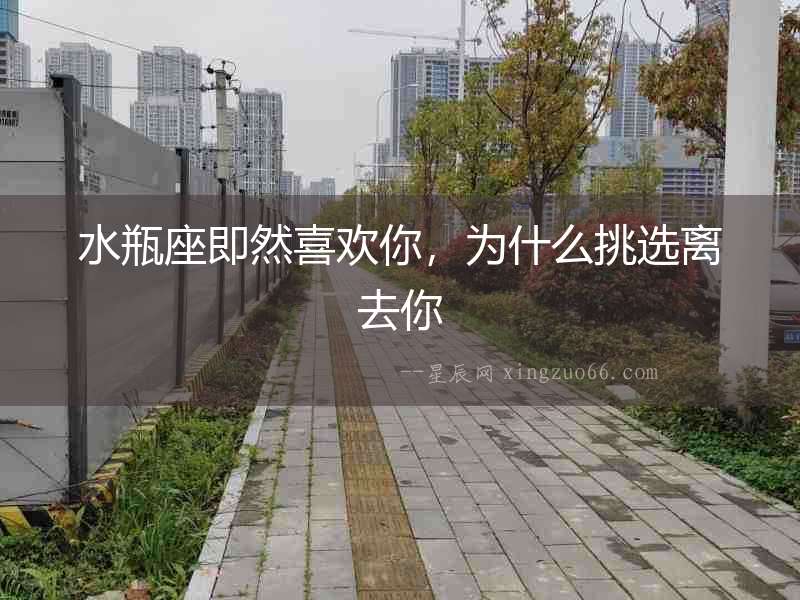 水瓶座即然喜歡你，為什么挑選離去你