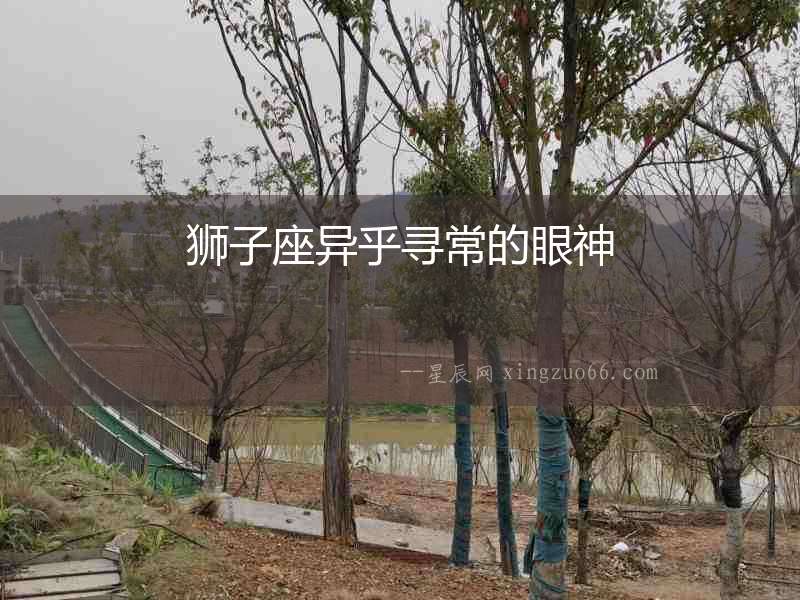 獅子座異乎尋常的眼神