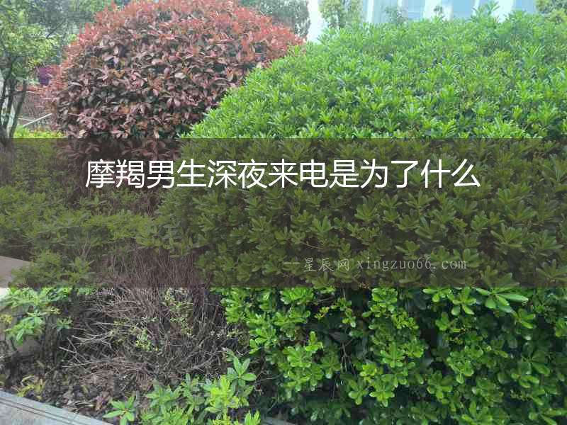 摩羯男生深夜來電是為了什么