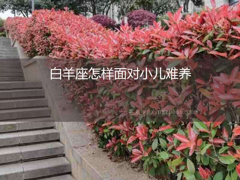 白羊座怎樣面對小兒難養