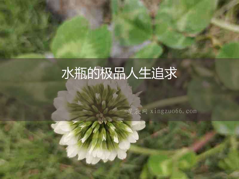 水瓶的極品人生追求